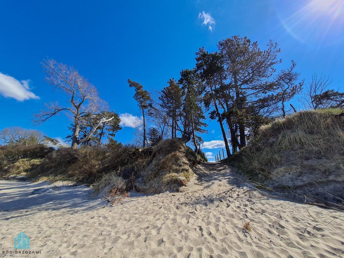 Pod Brzozami Apartamenty Let'S Sea Gaski Buitenkant foto